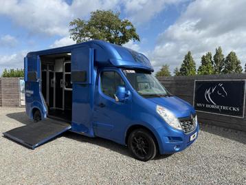 KRISMAR | 2016 | AUTOMAAT | DUB CAB 5 | PAARDENWAGEN |HENGST beschikbaar voor biedingen