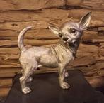 Chihuahua beeld, Verzamelen, Beelden en Beeldjes, Ophalen of Verzenden, Dier