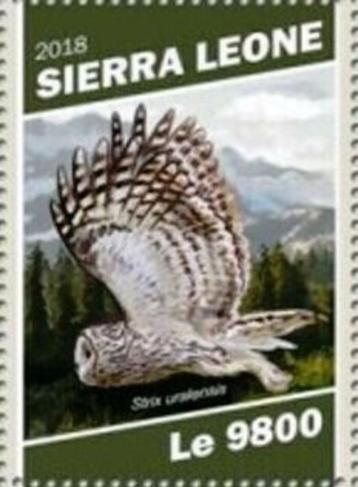 2018 Aanbieding  Sierra Leone Fauna Roofvogels Arend Uil  beschikbaar voor biedingen