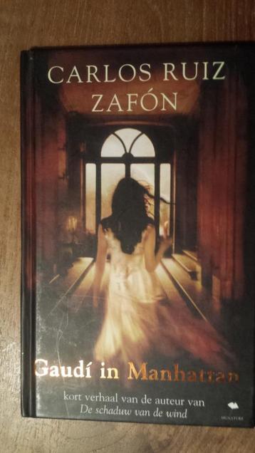 Carlos Ruiz Zafon - Gaudi in Manhattan beschikbaar voor biedingen