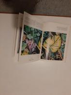 Zijdeschilderen - Hobbyboek, Boeken, Ophalen of Verzenden, Zo goed als nieuw, Tekenen en Schilderen, Onbekend