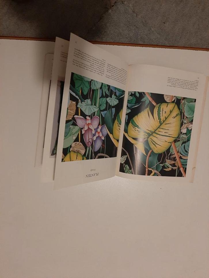 Zijdeschilderen - Hobbyboek, Boeken, Hobby en Vrije tijd, Zo goed als nieuw, Tekenen en Schilderen, Ophalen of Verzenden