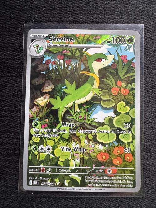 Servine 088/086 - Black Bolt, Hobby en Vrije tijd, Verzamelkaartspellen | Pokémon, Nieuw, Losse kaart, Ophalen of Verzenden