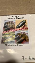 Jalapeno gigantia zaden, Ophalen of Verzenden, Volle zon