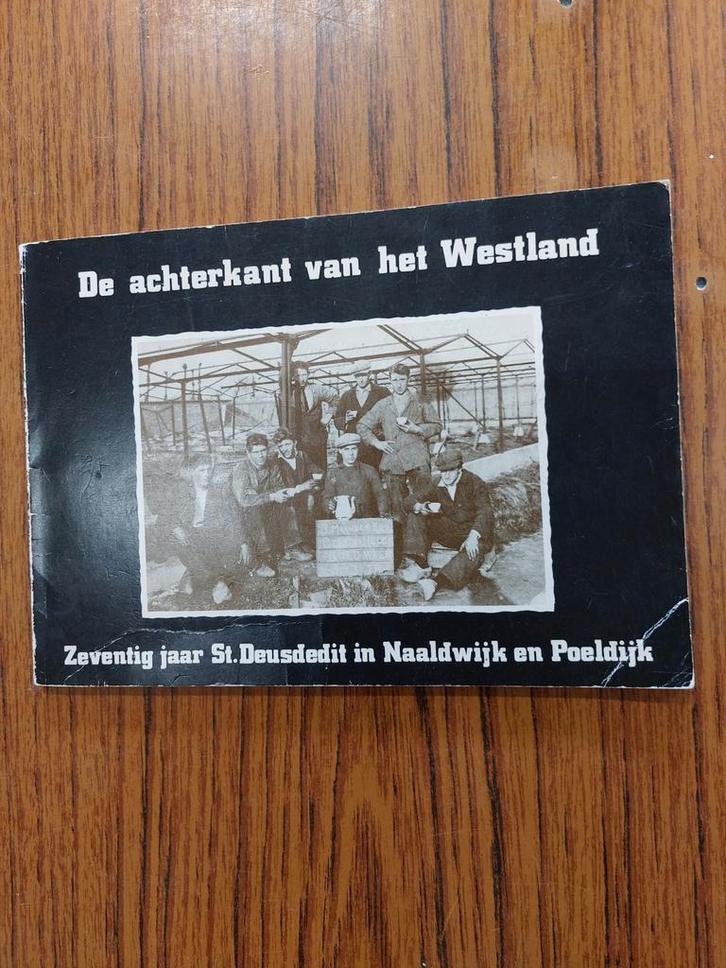 De achterkant van het Westland, Boeken, Geschiedenis | Stad en Regio, Gelezen, Ophalen of Verzenden