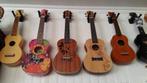 Zomer Collectie CLX Ukelele keuze | Muziek Center Roosendaal, Ophalen of Verzenden, Nieuw, Ukelele