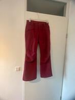 Skibroek protest, Kleding | Dames, Wintersportkleding, Broek, Verzenden, Zo goed als nieuw, Protest