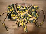 Vacanze Italiane bikini 38/M slip 38 NIEUW!! Nu €25, Ophalen of Verzenden, Nieuw, Bikini