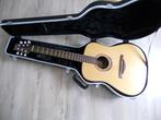 LAG gitaar, Ophalen, Gebruikt, Western- of Steelstringgitaar, Met koffer