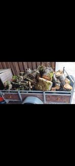 Appelhout, Tuin en Terras, Haardhout, Minder dan 3 m³, Ophalen