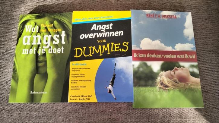 Boeken over angst (overwinnen) 3 prachtige / leerzame boeken, Boeken, Advies, Hulp en Training, Zo goed als nieuw, Verzenden