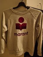 Isabel Marant trui grijs zgan, Kleding | Dames, Ophalen of Verzenden, Zo goed als nieuw, Maat 38/40 (M), Grijs