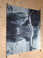 Schotse Hooglander Wanddecoratie, Antiek en Kunst, Ophalen