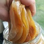 Komchucha scoby en starter, Ophalen of Verzenden