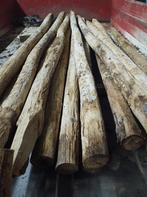 17 st. Kastanjehouten palen 8-10 cm dik, 3m lang, Tuin en Terras, Palen, Balken en Planken, Ophalen, Nieuw, 250 cm of meer, Palen