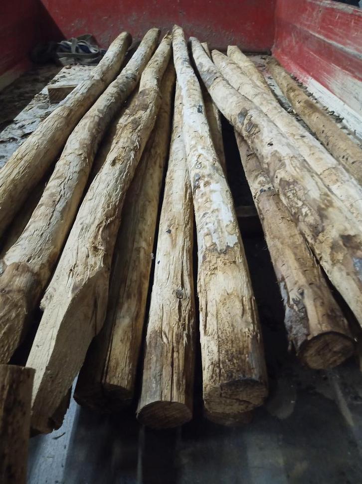 17 st. Kastanjehouten palen 8-10 cm dik, 3m lang, Tuin en Terras, Palen, Balken en Planken, Nieuw, Palen, 250 cm of meer, Ophalen