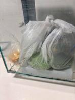 Vis aquarium met led, Dieren en Toebehoren, Ophalen, Leeg aquarium