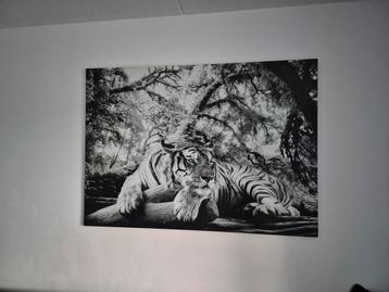 Schilderij 140x100 beschikbaar voor biedingen
