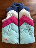 Bodywarmer superdry maat 40, Kleding | Dames, Maat 38/40 (M), Ophalen of Verzenden, Zo goed als nieuw, Superdry