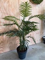 Nieuwe palm 140 cm met nieuwe buitenpot 40 cm dsn, Huis en Inrichting, Ophalen, Nieuw