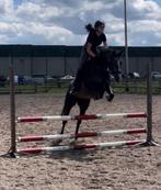 Kwaliteitsvolle 6 jarige projectpony/fokmerrie, Dieren en Toebehoren, Pony's, Met stamboom, Springpony, Zadelmak, 3 tot 6 jaar