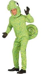 Kameleon Pak Heren Carnaval - Maat M/L, Carnaval, Maat 48/50 (M), Fiestas Guirca, Ophalen of Verzenden