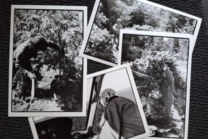 Foto's Campaign Against Marijuana Planting, California, 1984, Antiek en Kunst, Kunst | Tekeningen en Foto's, Verzenden