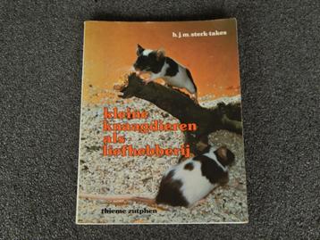 Kleine knaagdieren als liefhebberij beschikbaar voor biedingen