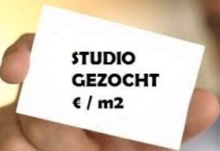 Studio gezocht in Delft of zuid holland, Huizen en Kamers, Op zoek naar een huis