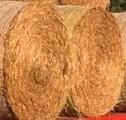 Ronde baal tarwe stro, Dieren en Toebehoren, Dierenvoeding, Ophalen of Verzenden, Vee