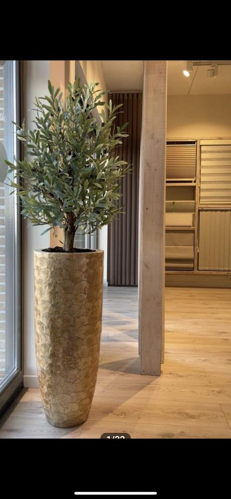 Olijfboom Magnolia Bloessem ect ect jou wens jou smaak, Huis en Inrichting, Woonaccessoires | Kunstplanten en Kunstbloemen, Nieuw