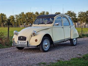 Citroën 2CV 2CV6 0.6 Club 1987 - Jaune Rialto beschikbaar voor biedingen