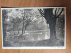 Ansichtkaart Duitsland Bad Bentheim Park 9885, Ophalen of Verzenden, Duitsland