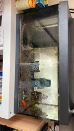 Aquarium met vis en bij behorende spullen, Dieren en Toebehoren, Ophalen, Gebruikt