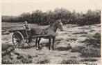 Hierden - paard en wagen  2636, Ophalen of Verzenden, Voor 1920, Ongelopen, Noord-Holland