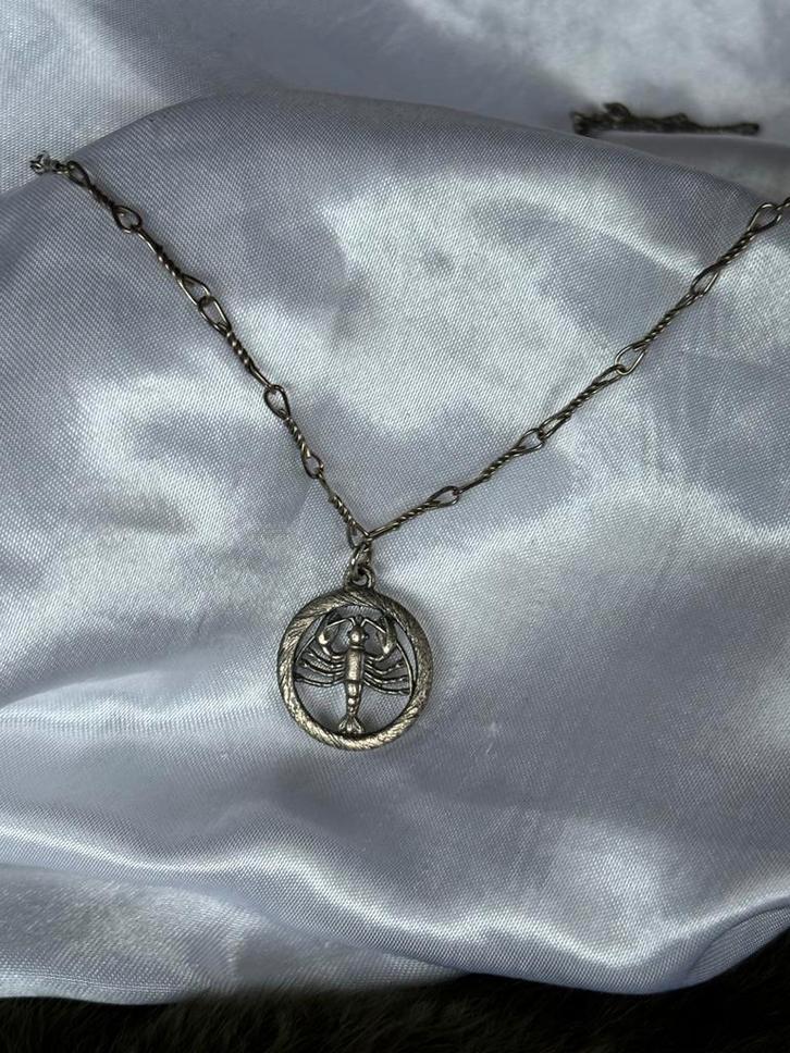 Zilverkleurige ketting met schorpioen hanger, Sieraden, Tassen en Uiterlijk, Kettingen, Gebruikt, Zilver, Ophalen of Verzenden