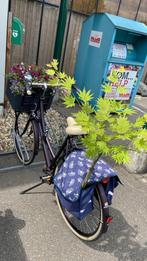 Sparta Pick-Up damesfiets – 3 Versnl – Zo goed als nieuw!, Ophalen, Sparta, Versnellingen, 56 cm of meer