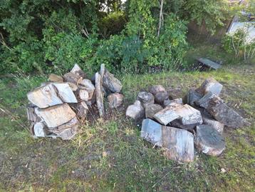 Blokken hout, boom stronken. beschikbaar voor biedingen