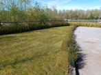Graszoden, Ophalen of Verzenden, Nieuw, 20 m² of meer