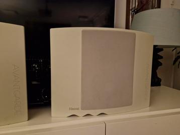 Magnat Avantgarde S10 speaker beschikbaar voor biedingen