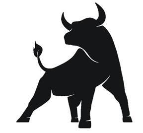 camper caravan bus sticker stier, Caravans en Kamperen, Camper-accessoires, Nieuw, Ophalen of Verzenden