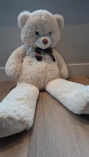 Grote beer zoekt nieuw vriend(innet)je! beschikbaar voor biedingen