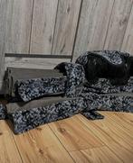 Raamband en gordijnen Daf XF, Ophalen of Verzenden