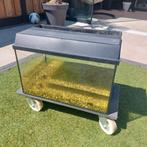 Aquarium 50 lang x 30 diep  x  30 hoog, Dieren en Toebehoren, Vissen | Aquaria en Toebehoren, Ophalen, Gebruikt, Leeg aquarium