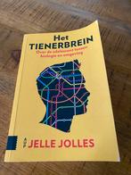Het Tienerbrein, Ophalen of Verzenden, Zo goed als nieuw