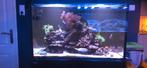 Redsea reefer 250, Dieren en Toebehoren, Ophalen, Gebruikt, Leeg aquarium