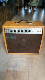 Piggy 2 200R van Prince, Muziek en Instrumenten, Versterkers | Bas en Gitaar, Ophalen of Verzenden, Gebruikt, Minder dan 50 watt