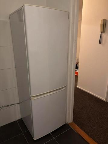 Proline koel-vriescombinatie – schoon, stil en zuinig beschikbaar voor biedingen
