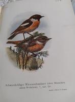 vogelboeken 3  stuks rond 1900, Ophalen of Verzenden, Gelezen