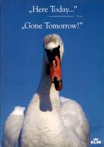 KLM zwaan, here today... gone tomorrow, Ophalen of Verzenden, 1980 tot heden, Ongelopen, Overige thema's
